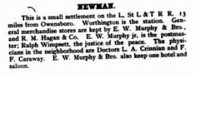 1891 Newman city directory